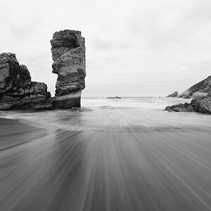 _DSF0750.jpg