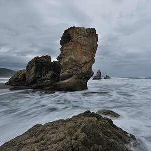 _DSF0843.jpg