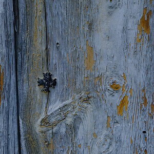 DSCF4944.JPG