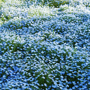 DSCF9401.jpg