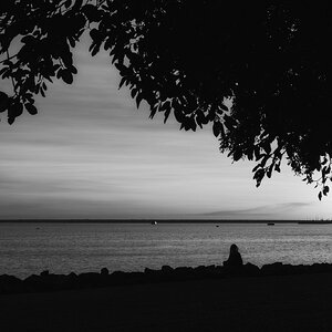 DSCF1599-2.jpg