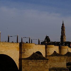 DSCF5155.JPG
