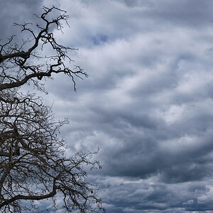 250423 SEGOVIA (21).jpg
