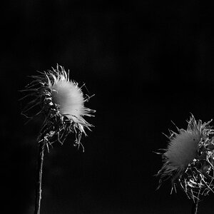 DSCF2566_1.jpg