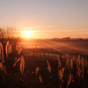 DSCF3255-2.jpg