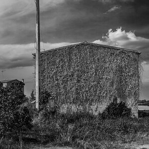 _DSF2076_01_fj.jpg
