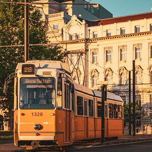 DSCF2229-2.jpg