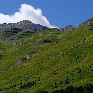 IMG_20250710_120608_354.jpg