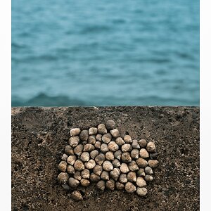 fotografo-mar-azul-rompeolas-piedra-molusco.jpg