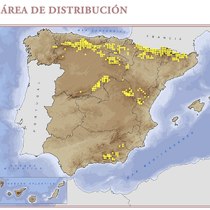 Captura de pantalla 2025-07-26 a les 12.29.02.png