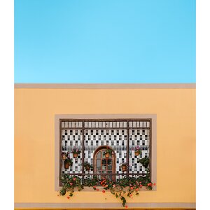 fotografo-balcon-puerta-madera-maceta-flores-fachada-cielo-azul-cables.jpg