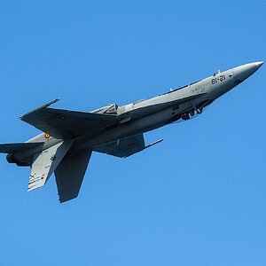 _X304449[PS][2048px].jpg