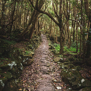 DSCF8717.jpg