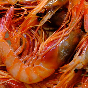 DSCF7215.JPG