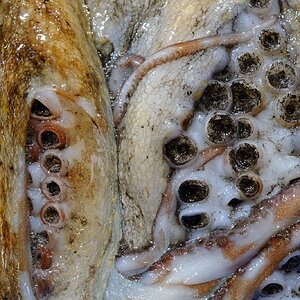 DSCF7173.JPG