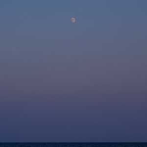 DSCF7548.JPG