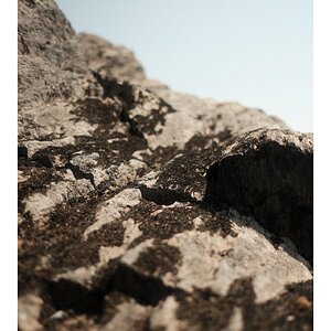 IMG_0970.jpeg