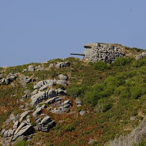 _DSF7791.JPG