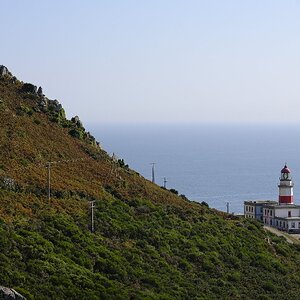 _DSF7800.JPG