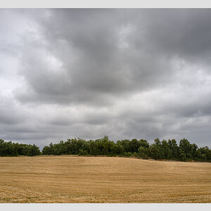 DSCF6161.jpg