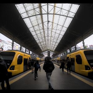 _X305067[DT].jpg
