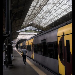 _X305077[DT].jpg
