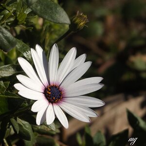 “Sencillez perfecta”.