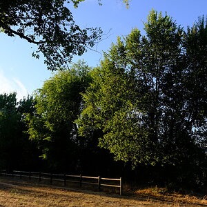 DSCF8815.JPG