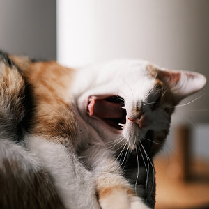 DSCF6045.jpg