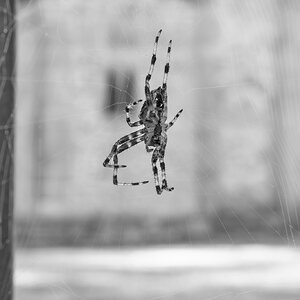 IMG_1025.jpeg