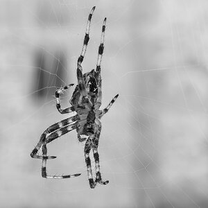 IMG_1025.jpeg