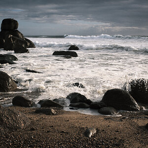 XE050412(1)-sharpened.jpg