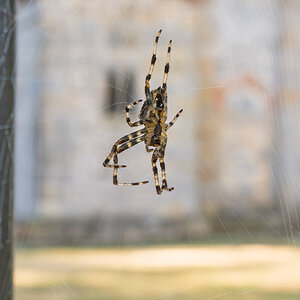 DSCF6509-2.jpg