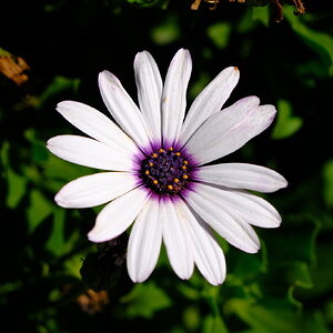 DSCF9116.JPG