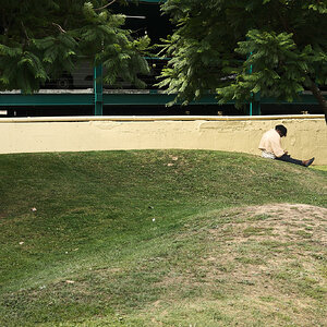 XE050723(1)-sharpened.jpg