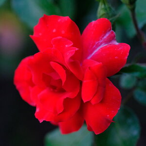 DSCF9347.JPG