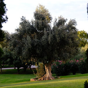 DSCF9167.JPG