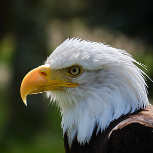 DSCF8115B.jpg