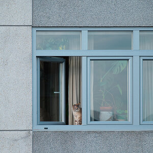 DSCF8704B.jpg