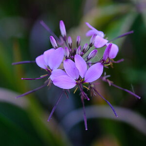 DSCF9512.JPG