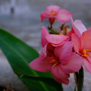 DSCF9533.JPG