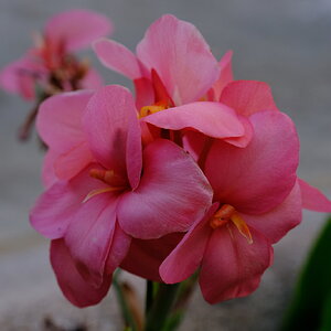 DSCF9545.JPG