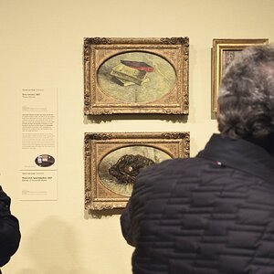 Día03_Van_Gogh_03.jpg