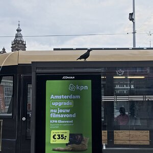 Ámsterdam_Descartes_16.jpg