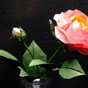 DSCF9632.JPG