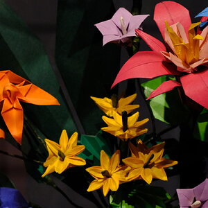 DSCF9626.JPG