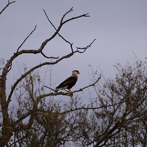 DSCF2758.JPG
