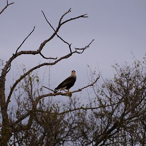 DSCF2760.JPG