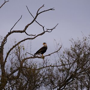 DSCF2761.JPG