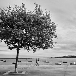 XE051816-1-sharpened.jpg